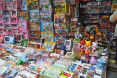 Legoplagiate in Hanoi